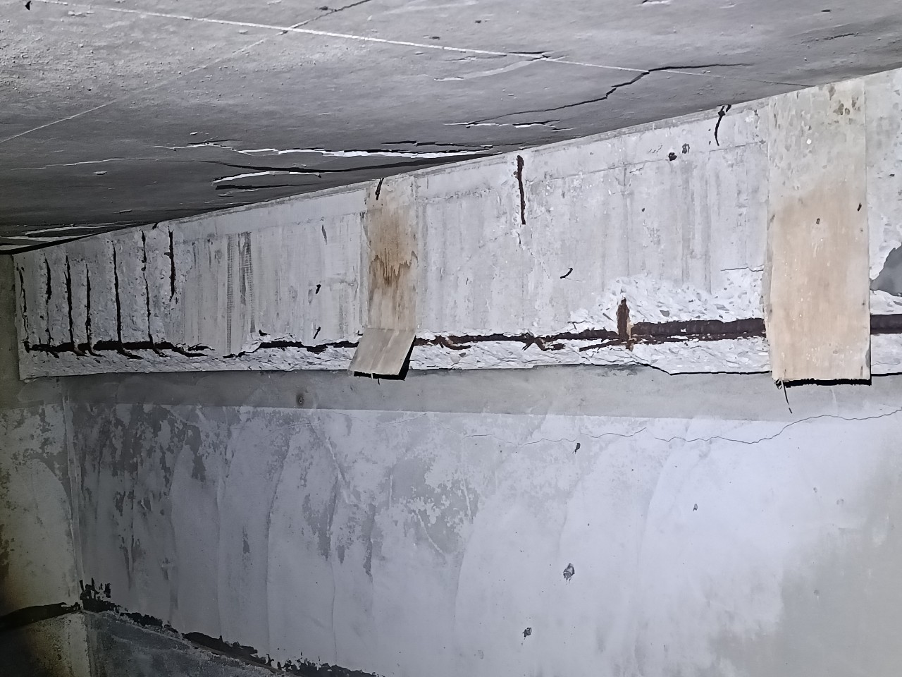 海砂屋 鋼筋外露 老屋重建